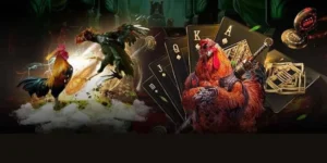 Hướng Dẫn Cách Chơi Đá Gà 3D Tại 12Bet: Bí Quyết Thắng Lớn
